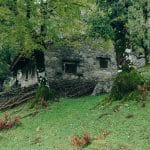 Eco-Friendly Alternatives to Traditional Automotive Solutions