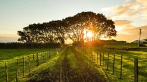 Navigating Personal Development in the Modern Learning Landscape