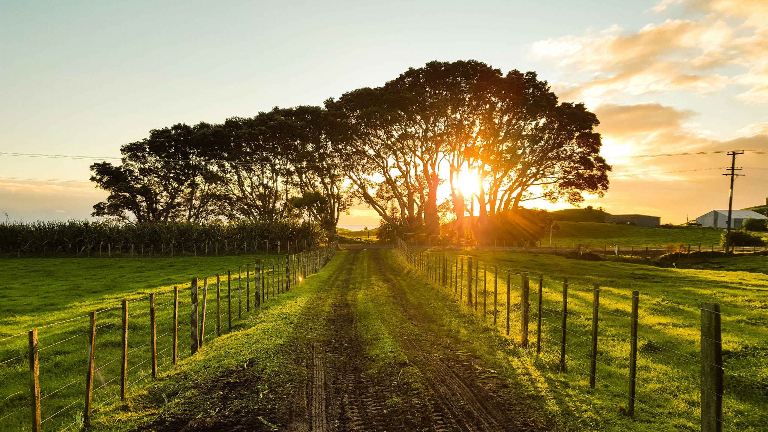 Navigating Personal Development in the Modern Learning Landscape