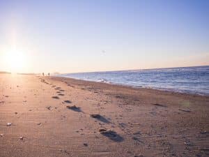 Solitude and Silence: Finding Yourself in Unfamiliar Territories
