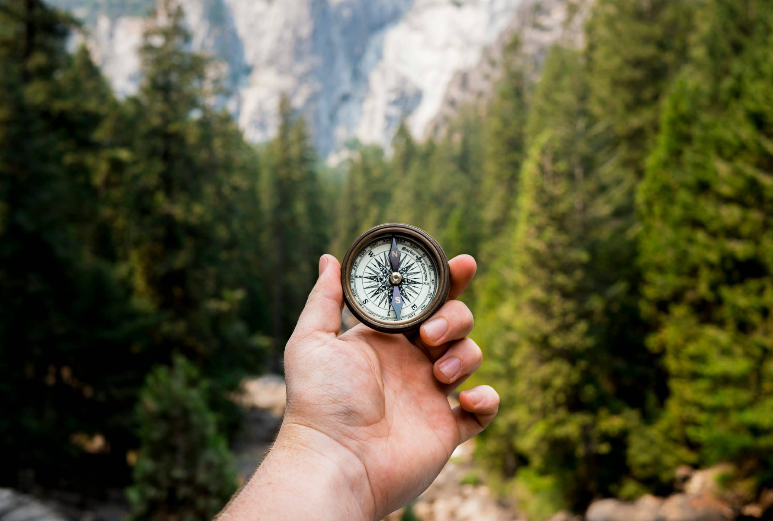 The Rise of Purpose-Driven Professional Networks