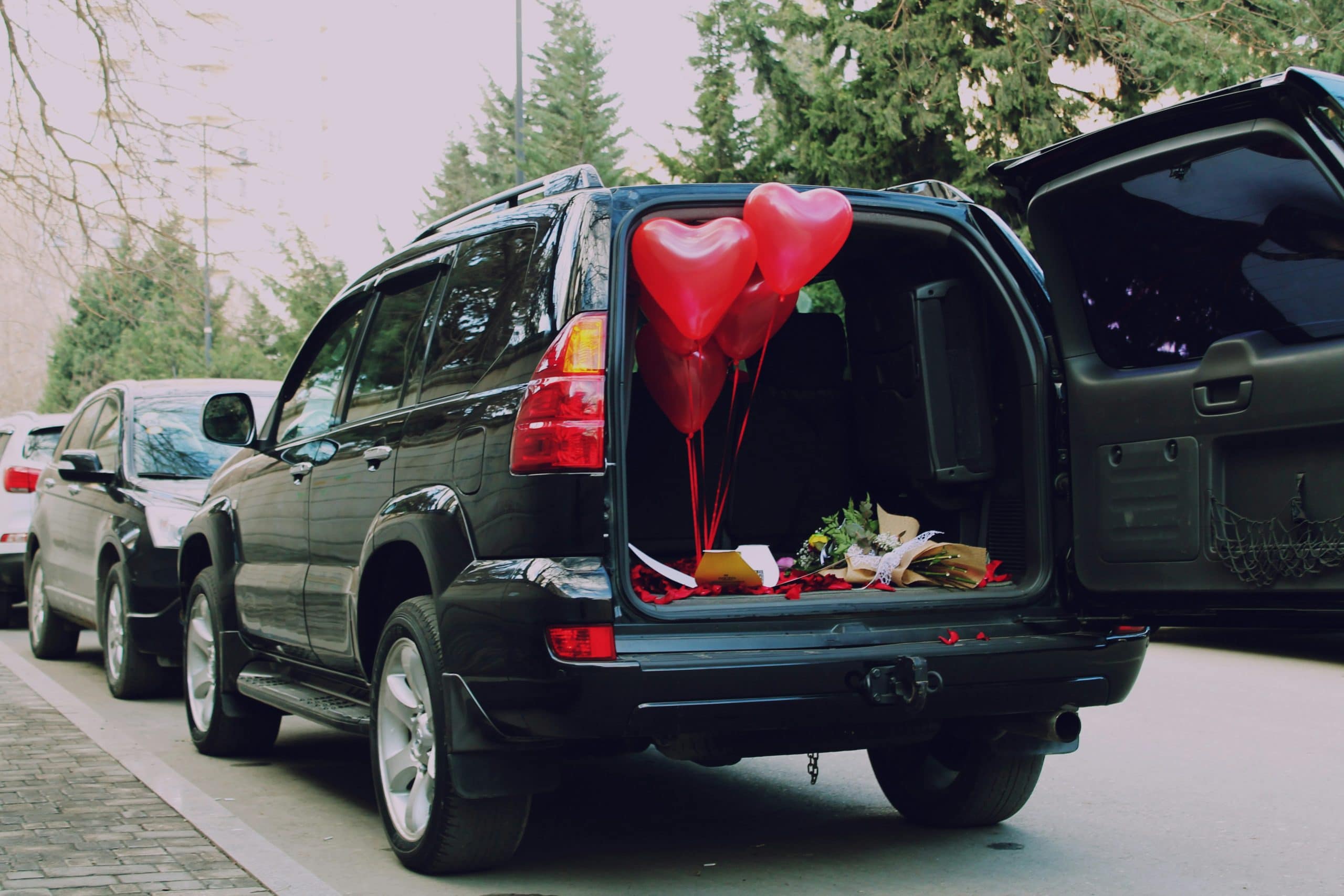 Sustainable Vehicle Solutions for Humanitarian Logistics