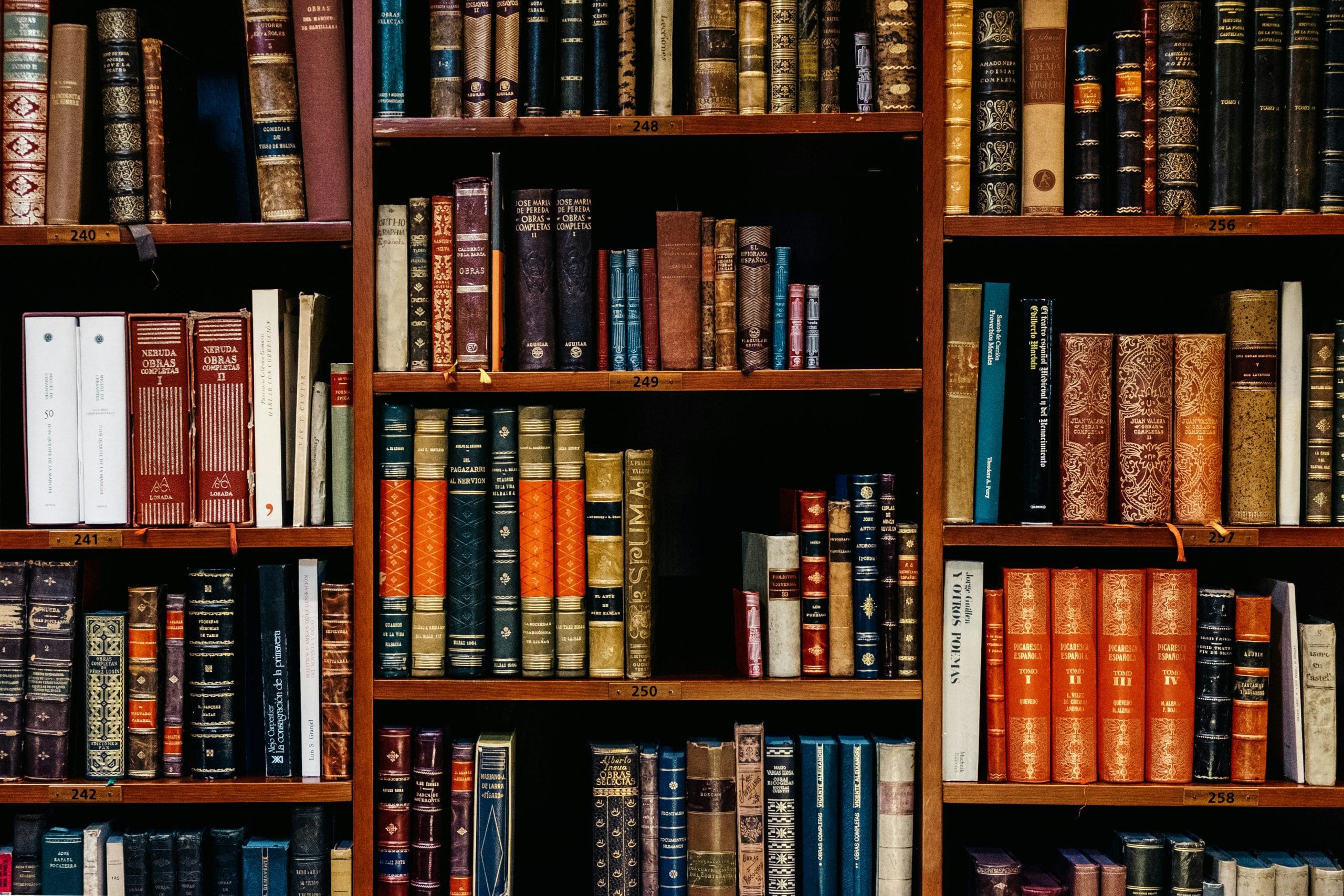 Understanding the Complexities of Immigration Law and Justice