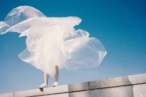 Biomimetic Fashion Innovations Inspired by Natural Systems
