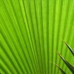 Climate Change Career Opportunities: Green Economy Frontiers