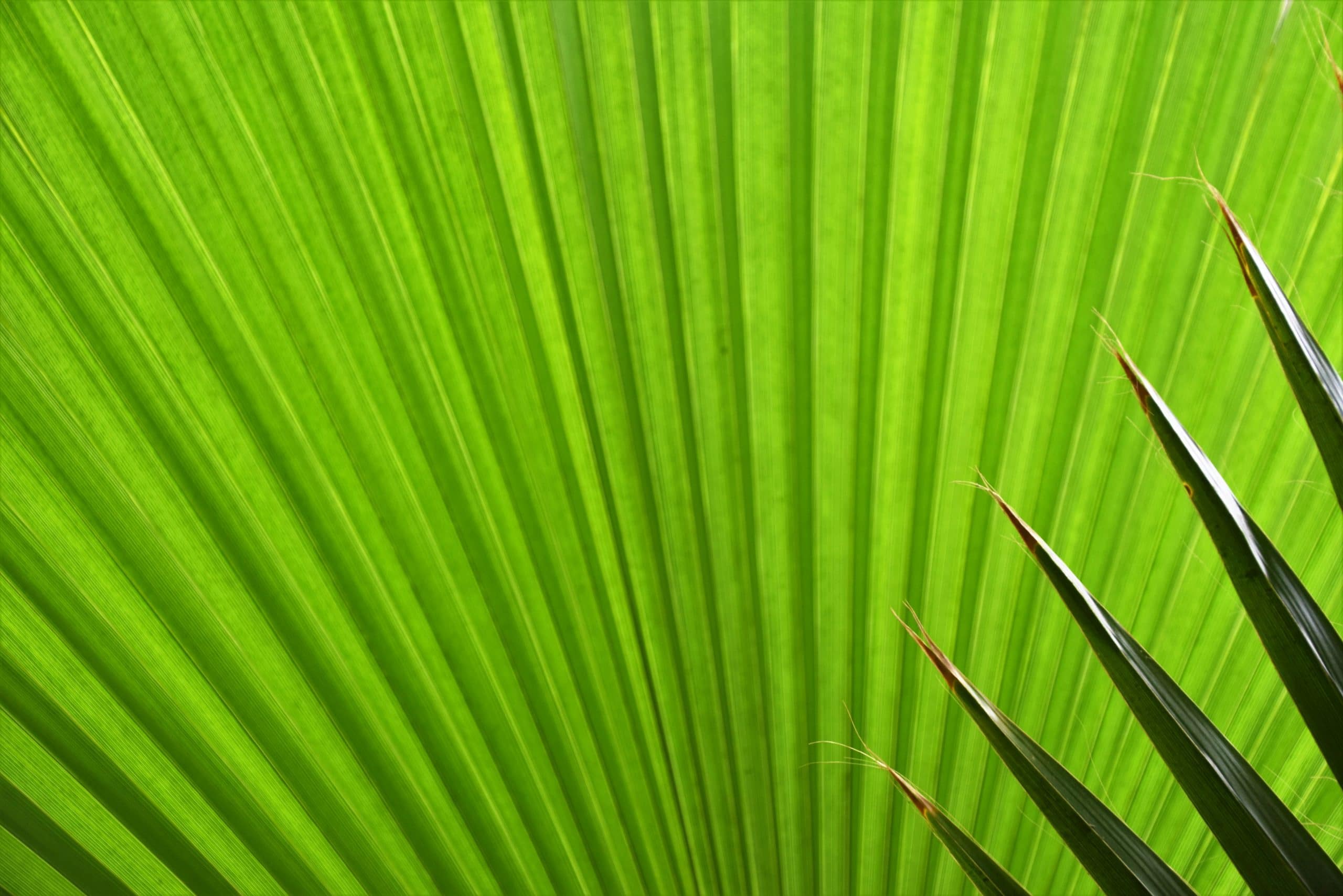 Climate Change Career Opportunities: Green Economy Frontiers