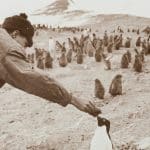 The Psychological Foundations of Intellectual Exploration