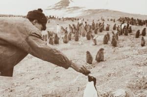 The Psychological Foundations of Intellectual Exploration
