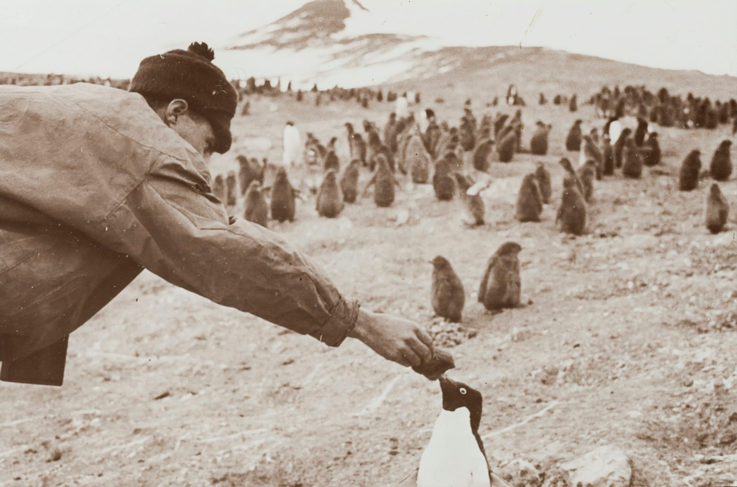 The Psychological Foundations of Intellectual Exploration