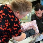 Advanced Textile Engineering Creating Intelligent Clothing Solutions