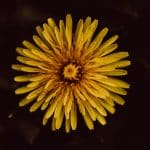 Circular Economy: Innovative Career Pathways Emerging