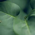 Developing Emotional Resilience Through Intellectual Growth