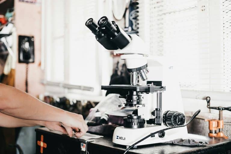 The Science of Motivation and Lifelong Learning