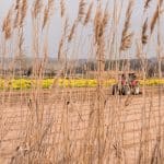 Cultivating Resilience in Educational Journeys