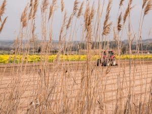 Cultivating Resilience in Educational Journeys