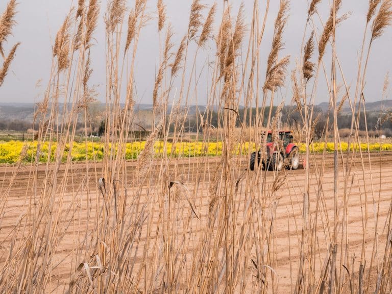Cultivating Resilience in Educational Journeys