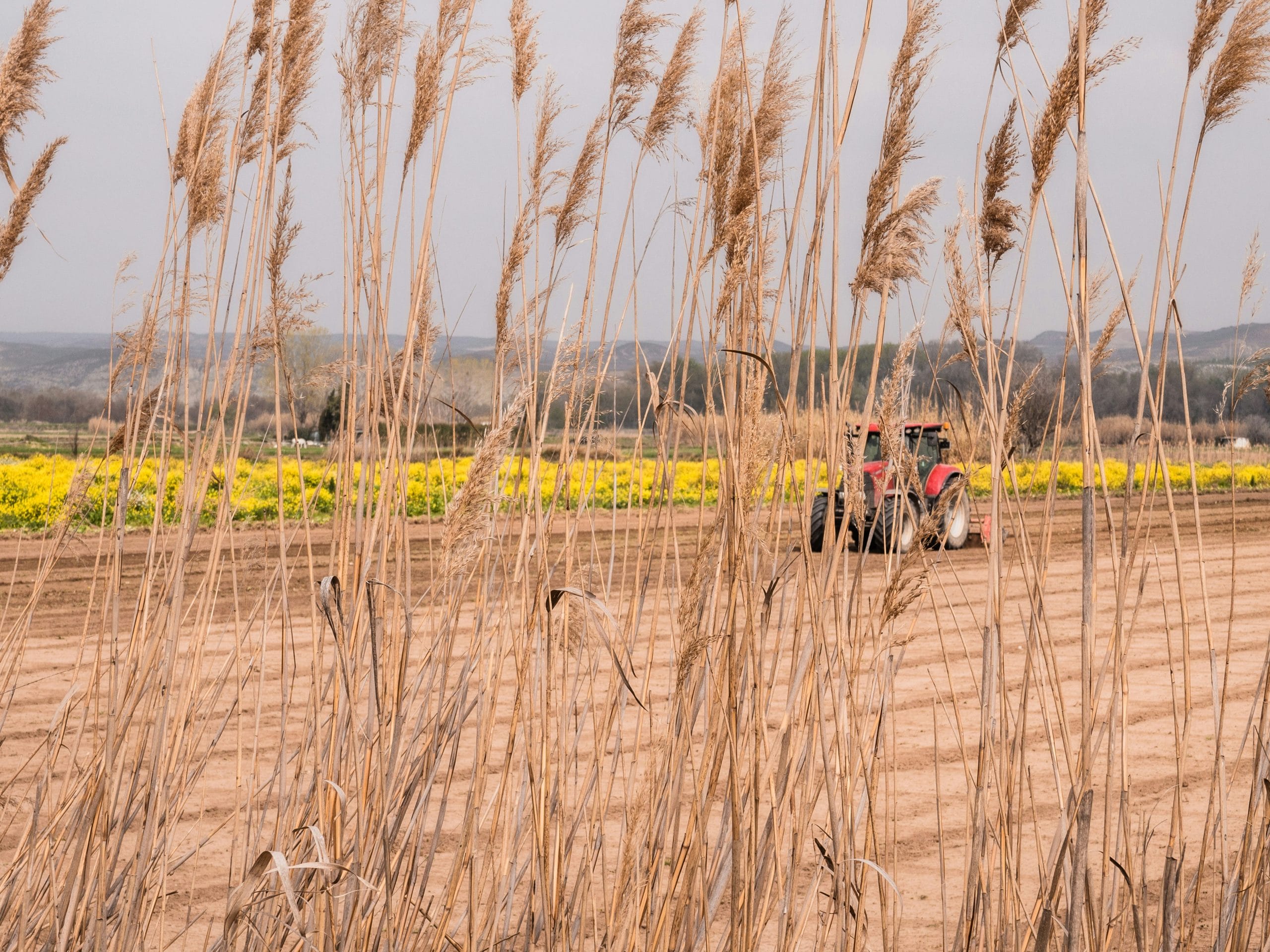 Cultivating Resilience in Educational Journeys