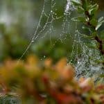 Synthetic Quantum Communication Networks Redefining Global Technological Connectivity