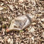 Neuromorphic Adaptive Sensor Networks Predicting Complex Environmental Changes