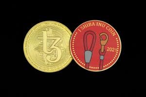 Blockchain Professionals: Emerging Careers in Decentralized Economies