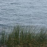 Water Rights in the Climate Crisis: Legal Approaches to Resource Management