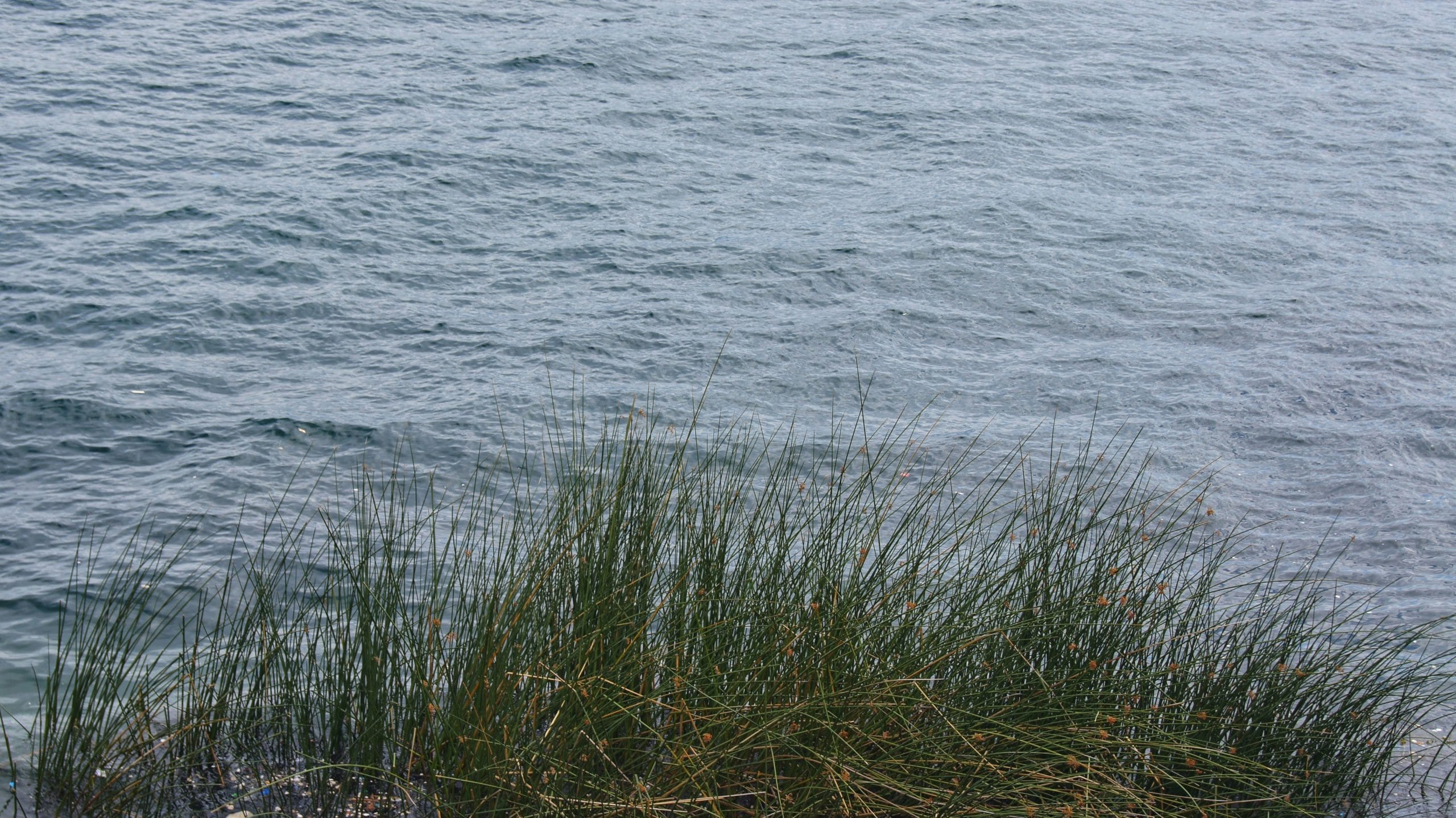 Water Rights in the Climate Crisis: Legal Approaches to Resource Management