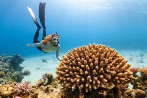 Chasing Seasons: A Year-Long Global Adventure