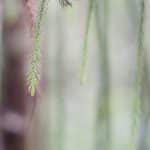 Transforming Challenges into Opportunities for Personal Growth