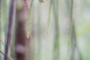 Transforming Challenges into Opportunities for Personal Growth