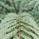 Strategies for Holistic Intellectual Growth