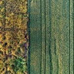 Neuromorphic Adaptive Sensor Technologies Predicting Complex Environmental Changes