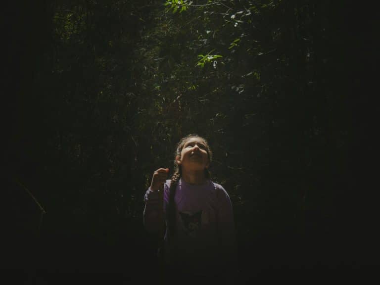 Advanced Biomimetic Electronic Interfaces Inspired by Natural Intelligence